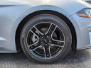 Thumbnail image of 2021 Ford Mustang at SuncoastChryslerJeep - Used
