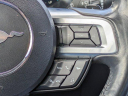 Thumbnail image of 2021 Ford Mustang at SuncoastChryslerJeep - Used