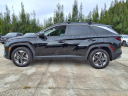 Thumbnail image of 2025 Hyundai TUCSON at Coastal Hyundai