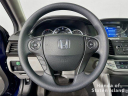 Thumbnail image of 2013 Honda Accord at Honda of Staten Island