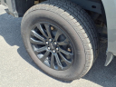 Thumbnail image of 2022 GMC Canyon at Koepp Chevrolet