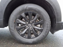 Thumbnail image of 2024 Mazda CX-50 at Conicelli Honda - USED