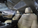 Thumbnail image of 2020 Toyota RAV4 at CentennialLeasingSales-Denver of Englewood, CO