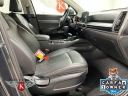 Thumbnail image of 2024 Kia Sorento at Kocourek Nissan Kia