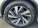 Thumbnail image of 2023 Nissan Murano at VictoryLayneChevrolet of Ft. Myers, FL
