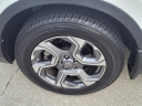 Thumbnail image of 2019 Honda CR-V at Serra Buick Gmc Champaign