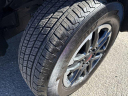 Thumbnail image of 2024 Toyota Tacoma at Glen Toyota