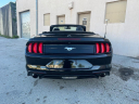 Thumbnail image of 2019 Ford Mustang at Selective Motor Cars