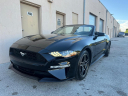 Thumbnail image of 2019 Ford Mustang at Selective Motor Cars