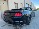 Thumbnail image of 2019 Ford Mustang at Selective Motor Cars