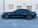 Thumbnail image of 2019 Ford Mustang at Selective Motor Cars