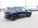 Thumbnail image of 2025 Ford Escape at Wetzel Ford