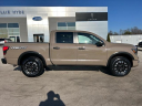 Thumbnail image of 2022 Nissan Titan at Gillie Hyde Ford-Linc-Merc-Chy