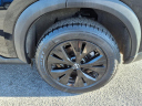 Thumbnail image of 2023 Nissan Rogue at Wallace Nissan Mitsubishi