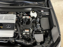 Thumbnail image of 2024 Lexus UX 250h at North Port Motors
