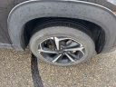 Thumbnail image of 2021 Chevrolet Trailblazer at Joe Lunghamer Chevrolet