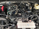 Thumbnail image of 2024 Toyota Tacoma at Cavender Toyota