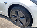 Thumbnail image of 2019 Tesla Model 3 at Tampa Bay Wholesale Cars, Inc.