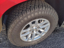 Thumbnail image of 2019 Chevrolet Silverado 1500 at Serra Buick Gmc Champaign