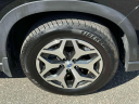 Thumbnail image of 2020 Subaru Forester at South Shore Subaru