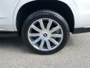 Thumbnail image of 2024 Cadillac Escalade at Doral Lincoln