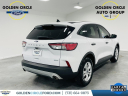 2020 Ford Escape S at Golden Circle Auto Outlet