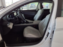 2024 Hyundai ELANTRA Limited at Delaney Auto Group