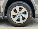 Thumbnail image of 2019 Toyota RAV4 at Toyota World of Clinton