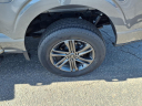 Thumbnail image of 2022 Ford F-150 at Lundeen Brothers Ford