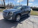 2019 Cadillac Escalade Luxury at MercedesBenzOfNovi of Novi, MI