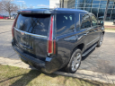 Thumbnail image of 2019 Cadillac Escalade at MercedesBenzOfNovi of Novi, MI