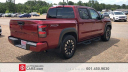 Thumbnail image of 2024 Nissan Frontier at Hattiesburg_Cars of Hattiesburg, MS