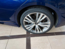 Thumbnail image of 2019 INFINITI Q50 at D & P Auto Sales