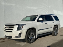 Thumbnail image of 2016 Cadillac Escalade at Andy Mohr Nissan