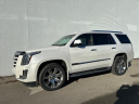 Thumbnail image of 2016 Cadillac Escalade at Andy Mohr Nissan