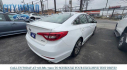 Thumbnail image of 2017 Hyundai SONATA at City World Ford