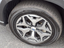 Thumbnail image of 2024 Subaru Forester at Serra Buick Gmc Champaign