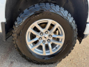 Thumbnail image of 2019 Chevrolet Silverado 1500 at OHIO AUTO WAREHOUSE LLC