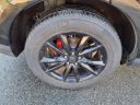 Thumbnail image of 2022 Acura RDX at Tri-County Lexus