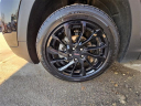 Thumbnail image of 2023 GMC Terrain at Walier Chevrolet