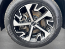 Thumbnail image of 2023 Kia Sportage at Vision Kia East Rochester