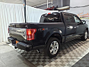 2015 Ford F-150 Platinum at Franklin Motor Company