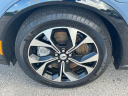 Thumbnail image of 2023 Ford Mustang Mach-E at Wayne Akers Ford