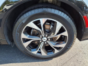 Thumbnail image of 2023 Ford Mustang Mach-E at Cooper Ford