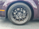 Thumbnail image of 2022 Dodge Challenger at BrandonFordUsed of Tampa, FL