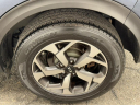 Thumbnail image of 2021 Kia Sportage at Champion Auto Sales Broadway