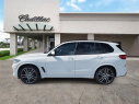 Thumbnail image of 2019 BMW X5 at Ed Morse Bayview Cadillac