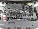 Thumbnail image of 2022 Toyota Camry Hybrid at Conicelli Toyota of Springfield - NEW