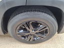 Thumbnail image of 2019 GMC Terrain at A & B Motors
