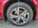 Thumbnail image of 2024 Lexus RX 350 at Piazza Honda Acura of Reading Used